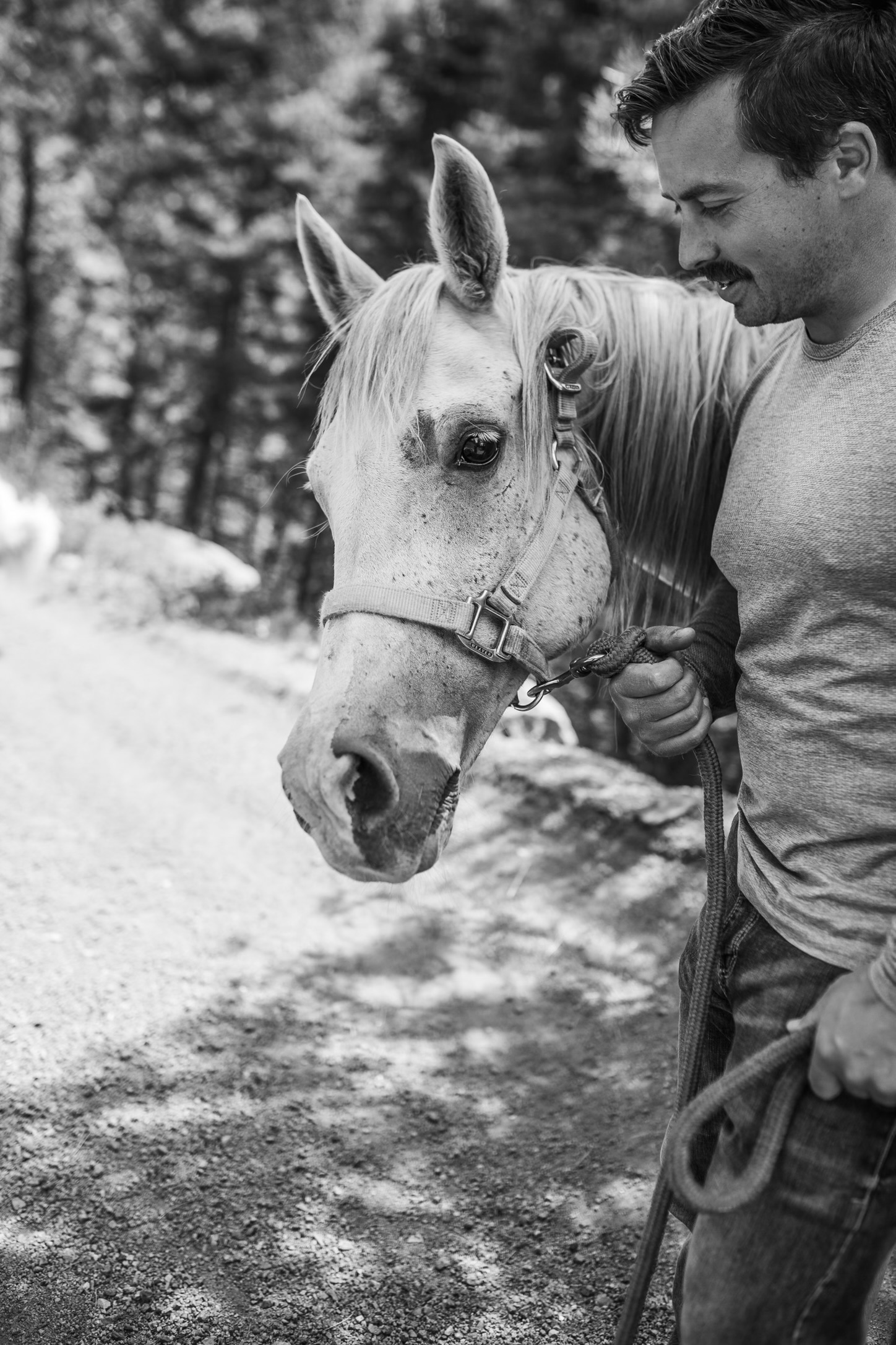 Animal life on the ranch at BlackSky.