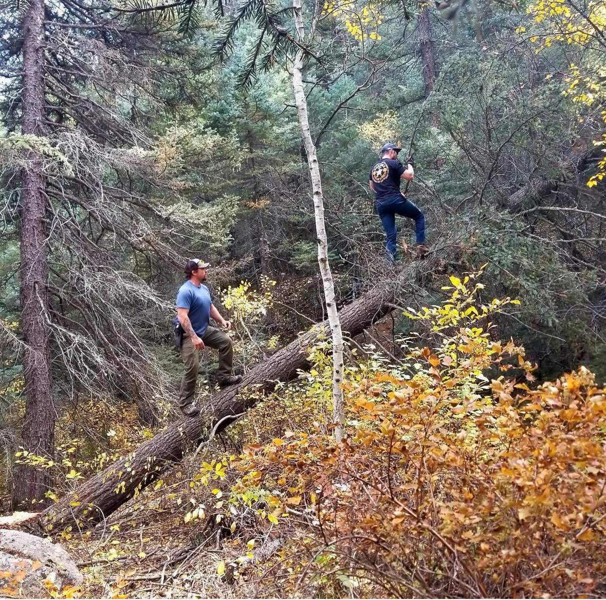 Outdoor rink scene in winter surrounded by trees.